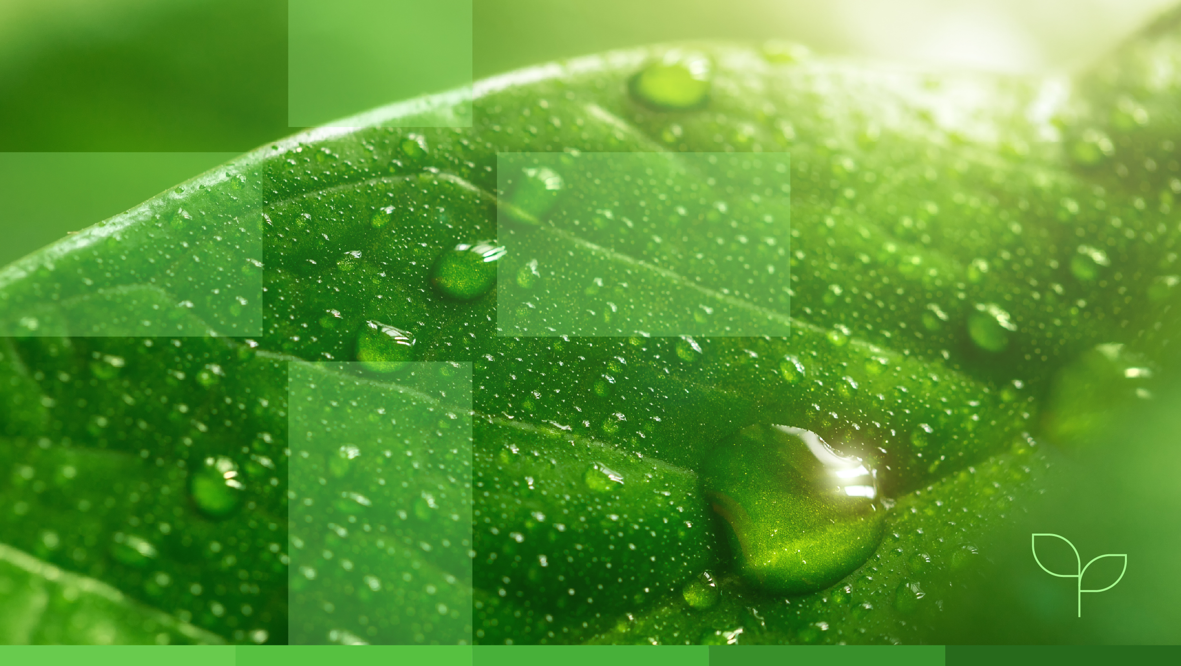 Make Sustainability Easier by Bundling RECs and Offsets