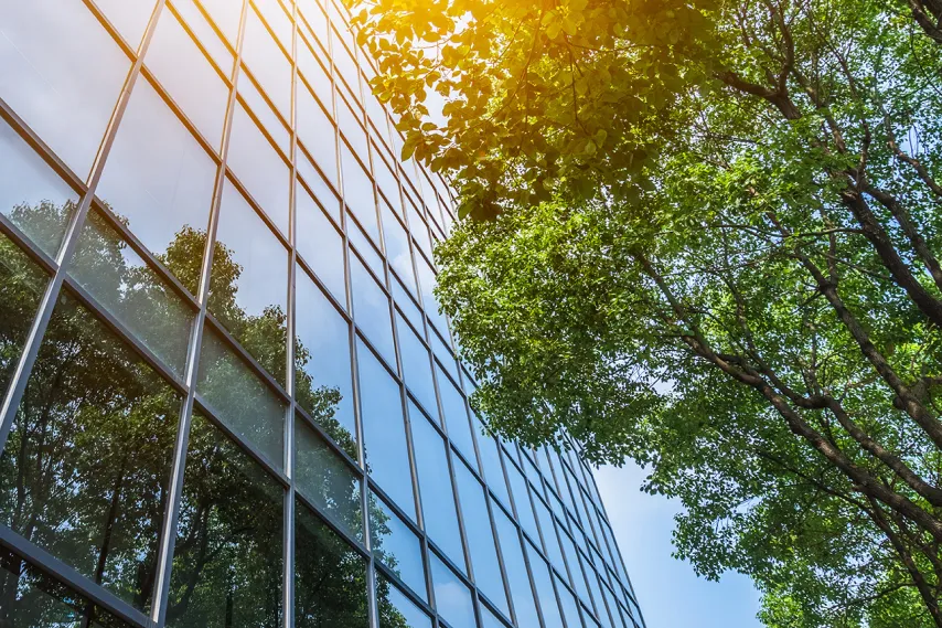 green tree next to glass building.