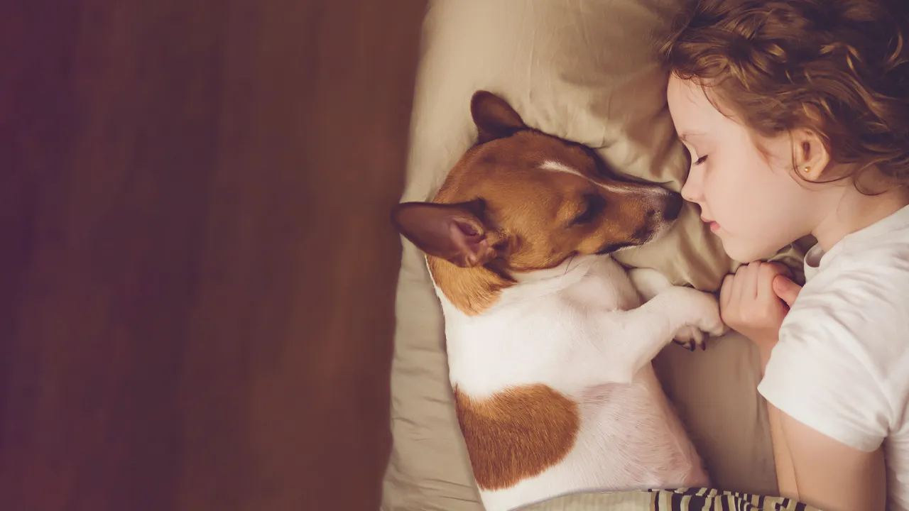 child-and-dog-asleep-together-face-to-face