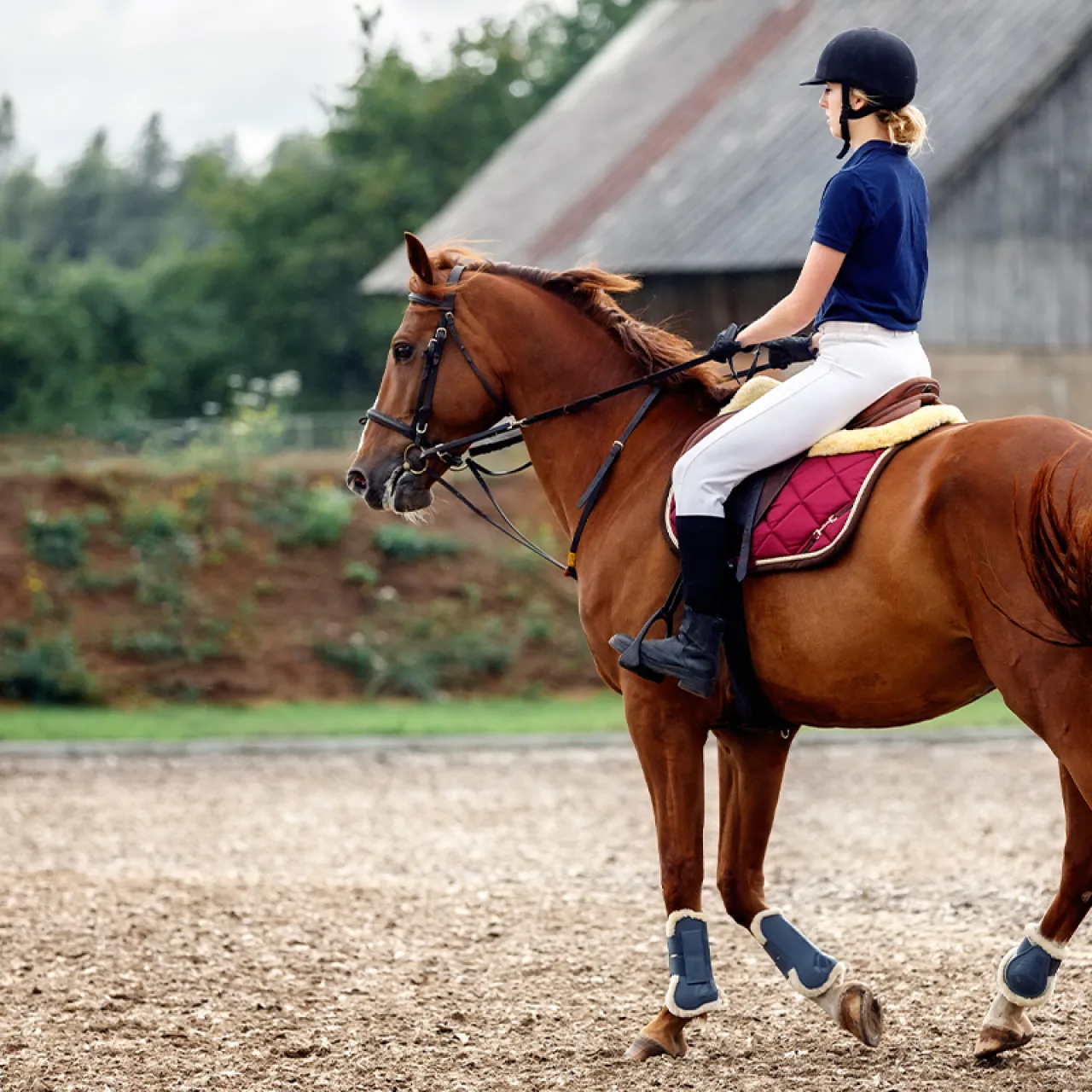 female-sitting-on-a-horse-equestrian-riding-practice