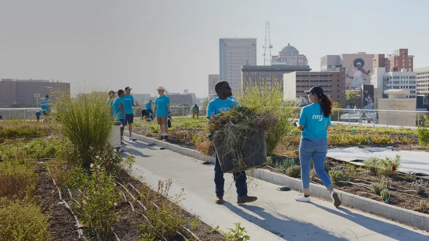 volunteers-working-together-on-community-garden