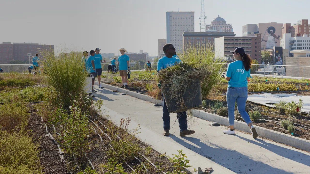 volunteers-working-together-on-community-garden