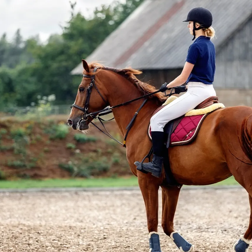 female sitting on a horse equestrian riding practice.