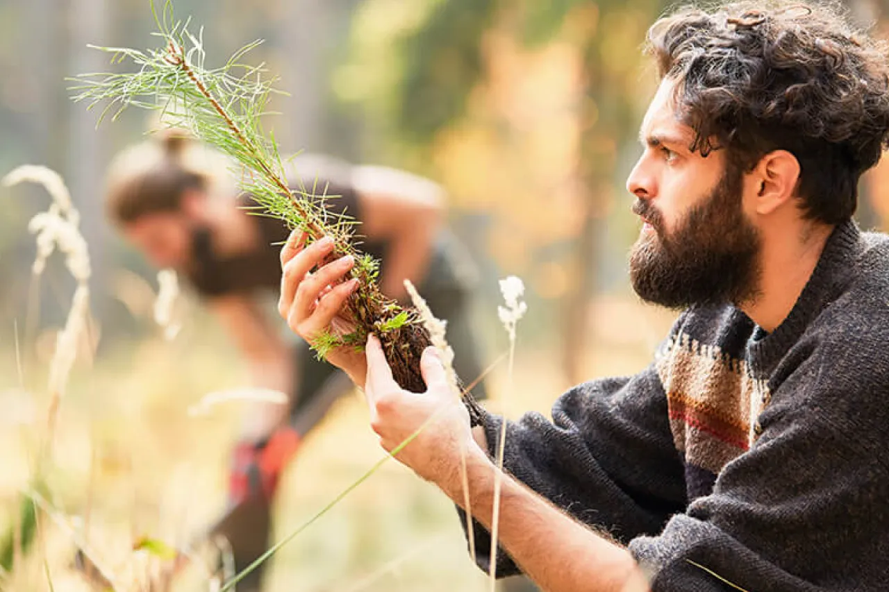 person outdoors inspecting sapling about to plant.