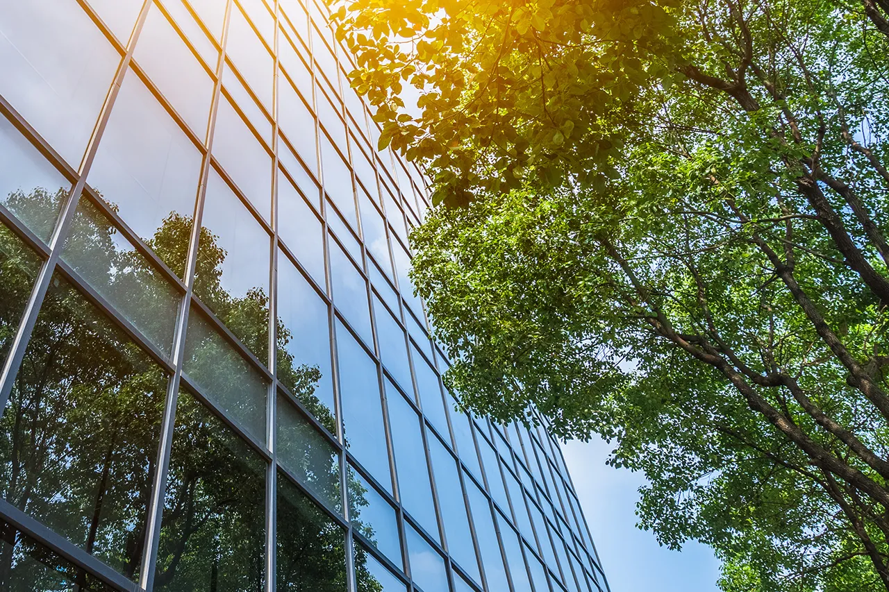 green tree next to glass building.