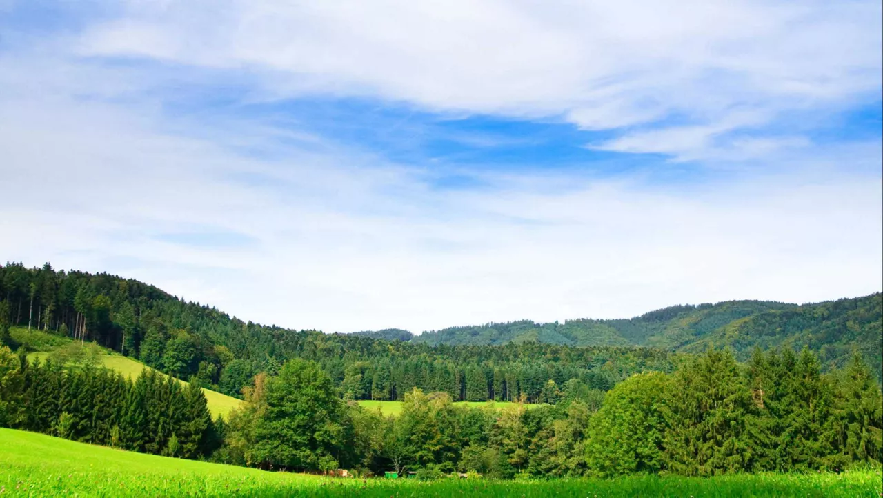 Beautiful view with sky and trees