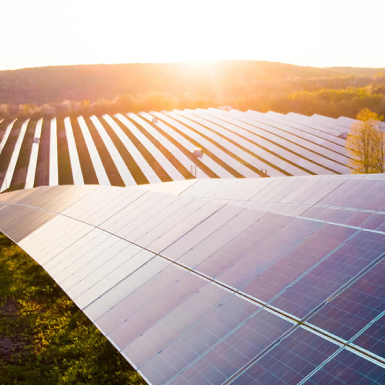 solar-panel-farm-with-sunset-light-reflections