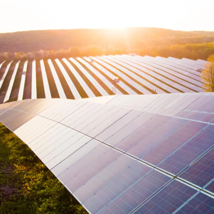 solar panel farm with sunset light reflections.
