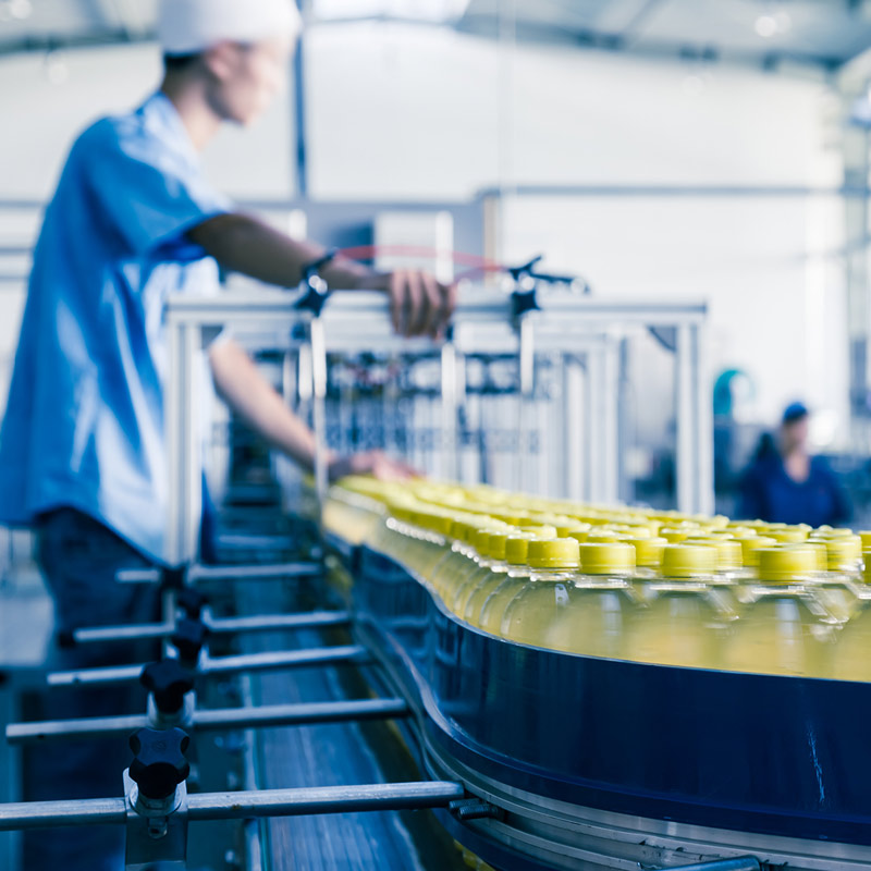 workers checking products