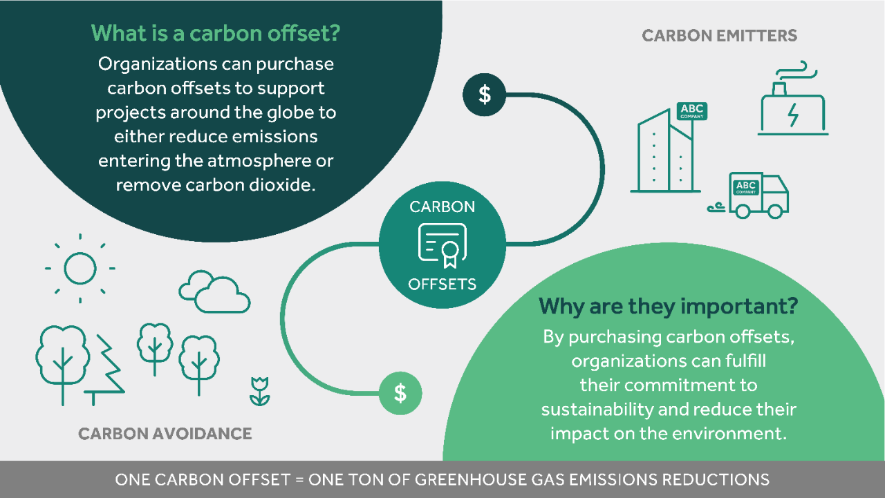 infographic explaining carbon offsets, carbon emitters, carbon avoidance, and their environmental importance.