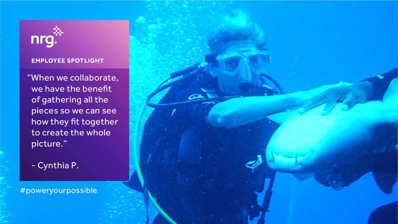 a scuba diver underwater holds a dolphin; quote about collaboration is displayed on a purple box beside them.
