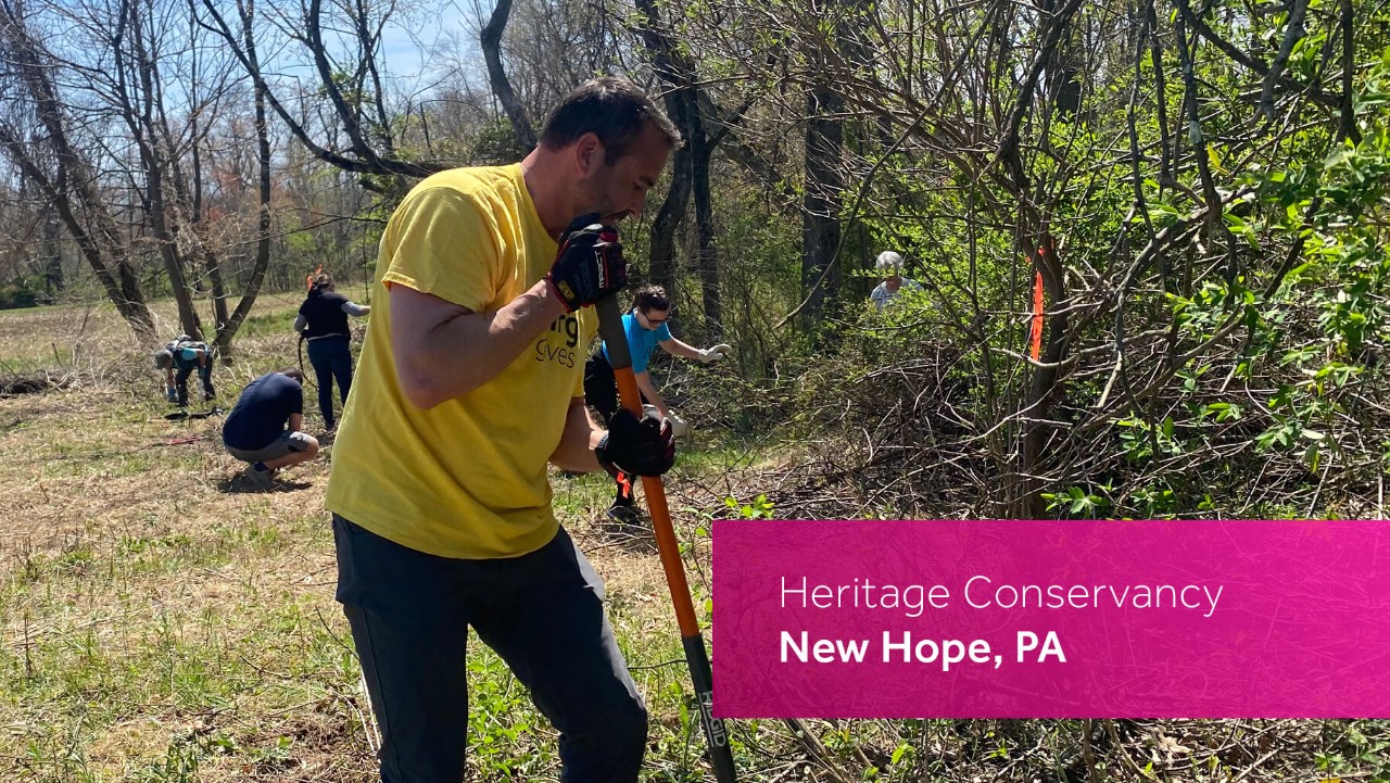 people clearing brush and digging in a wooded area for Heritage Conservancy in New Hope, PA.